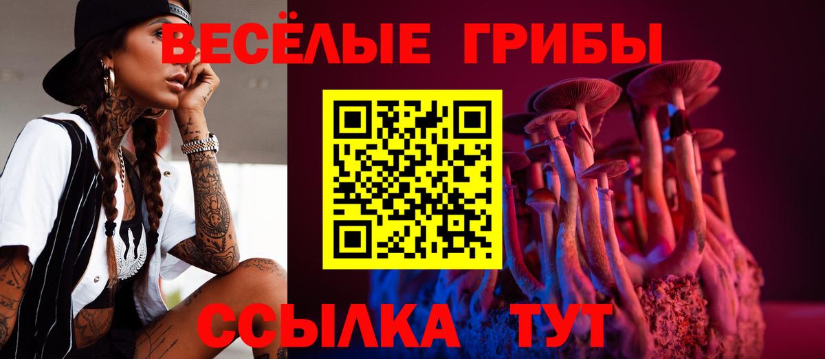 Галлюциногенные грибы GOLDEN TEACHER  Псилоцибиновые грибы Psilocybine cubensis  Вход с VPN  Реутов 