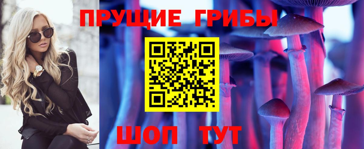 Псилоцибиновые грибы Cubensis Реутов
